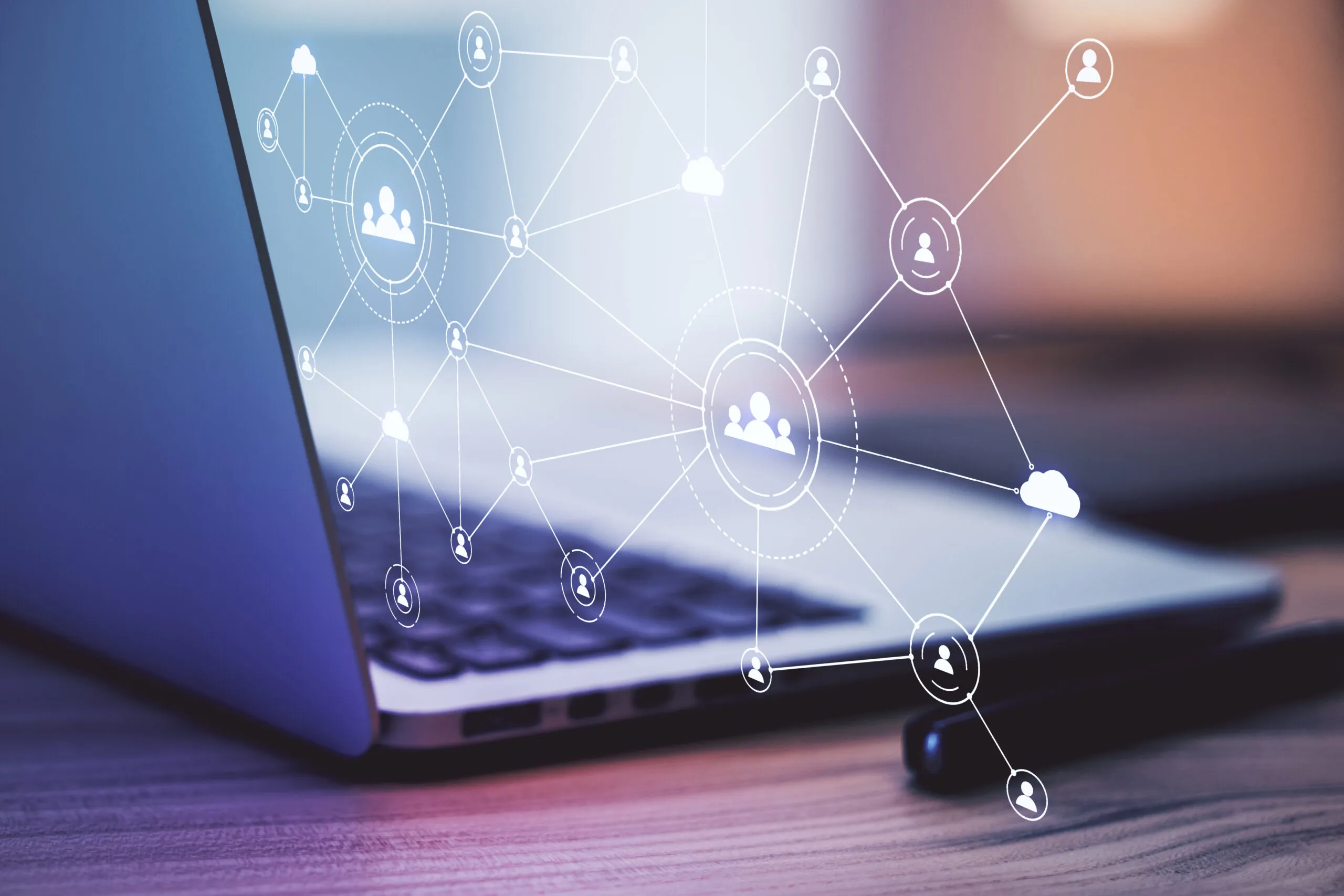 Network and Connectivity